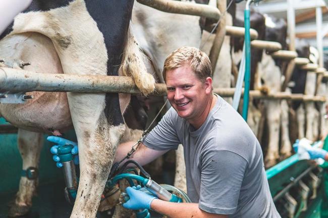 Melken Weidemilch Tierwohl Milch